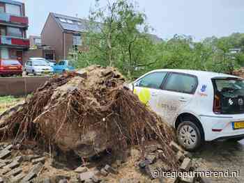 Storm Poly houdt ook huis in Purmerend “ze vallen als bosjes neer”