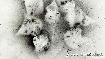 Postnature, la mostra di Sergio Angeli