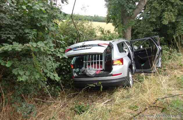 POL-NE: Autofahrerin kommt von Fahrbahn ab und kollidiert mit Baum