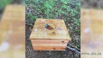 Sacred medicines from Waterloo region meant to help heal families of James Smith Cree Nation