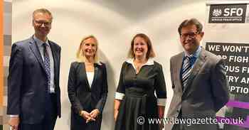 Former senior police officer replaces lawyer as SFO director