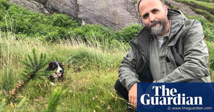 ‘The result was amazing’: one man’s mission to reforest a barren Irish hillside