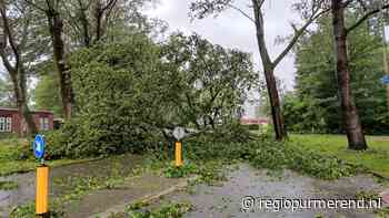 Storm Poly houdt ook huis in Purmerend “bomen vallen als bosjes neer”