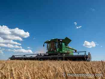 New federal clean fuel mandate will affect Sask. farmers, SARM says