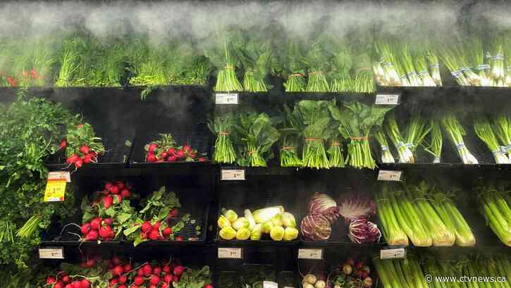 Canadians eligible for GST credit expected to receive 'grocery rebate' today