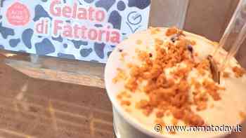 Come riconoscere un buon gelato artigianale? Arriva il "Vademecum"