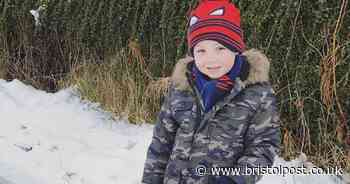 Owner horrified after kennel cremates dead dog before telling family