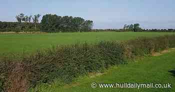 East Hull park receives Football Foundation investment to improve facilities