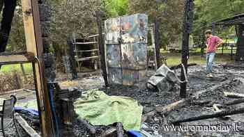 Un incendio distrugge il mattatoio, una puledra muore tra le fiamme. Avviata una raccolta fondi