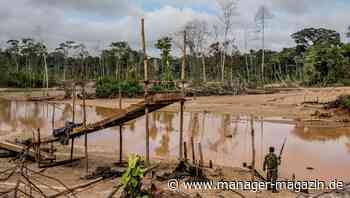 Schummeln bei grünen Investments: Greenwashing ist kein Kavaliersdelikt mehr, Strafverfolger machen Jagd auf Hochstapler