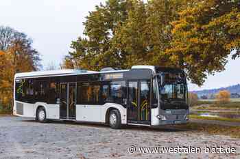 Busverkehr im Hochstift: NPH nennt Details zum Linienbündel 10 Egge