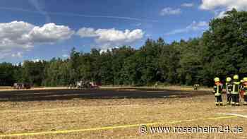 Zwei Felder brennen innerhalb von 24 Stunden – Wie die Feuerwehr einen Waldbrand verhinderte