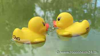 ChG-Entenroas: Erstes Traunsteiner Entenrennen am Chiemgau-Gymnasium