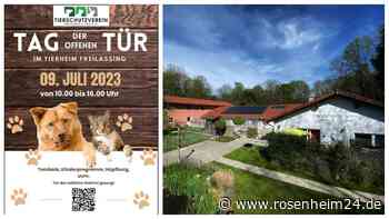 Nach drei Jahren coronabedingter Pause: Tag der offenen Tür im Tierheim Freilassing