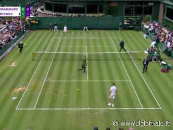 Pezzi di puzzle e coriandoli, il triste show degli eco-vandali a Wimbledon