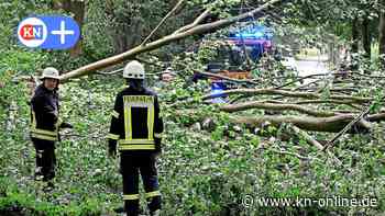Sturmtief „Poly“ Kreis Rendsburg-Eckernförde: Erste Bilanz