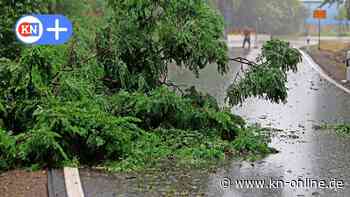 Einsätze im Kreis Plön: Sturmtief „Poly“ reißt viele Bäume um
