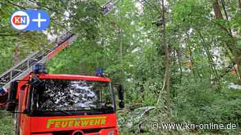Sturmtief „Poly“ in Kiel: Bäume stürzten auf Autos – viele Einsätze