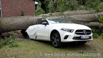 Sturmtief Poly rast über Deutschland und die Niederlande – Videos zeigen Ausmaß der Verwüstung