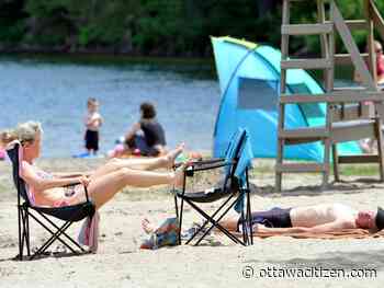 Breton Beach closed to swimming after blue-green algae spotted