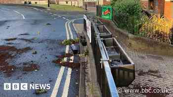 Halesowen flowers wrecked ahead of planned judging visit