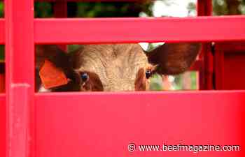 Interstate movement of animals and livestock checkpoints