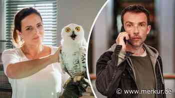 Quotenduell zwischen „Dr. Mertens“ und RTL-Thriller-Verfilmung hat klaren Sieger