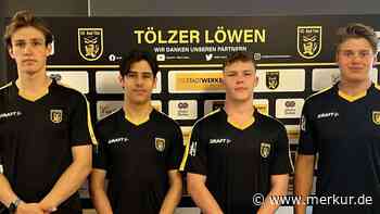 Tölzer Löwen: Vier Talente füllen die Mannschaft auf