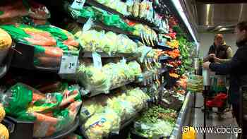 What you need to know about the grocery rebate