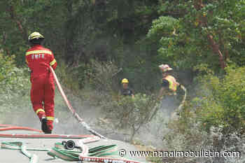 Police need to speak to witnesses who saw fires being set along Nanaimo Parkway