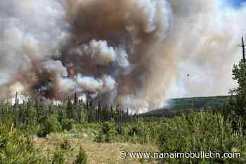 1 million hectares burned in B.C. so far this wildfire season
