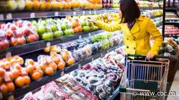 Federal government starts rolling out grocery rebate payments