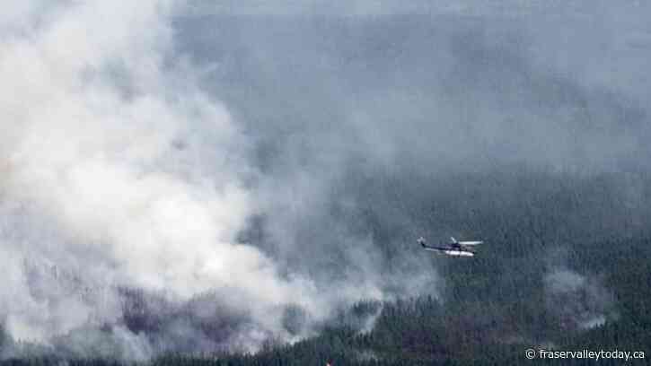 Quebec offers $50 million to businesses affected by unprecedented wildfire season