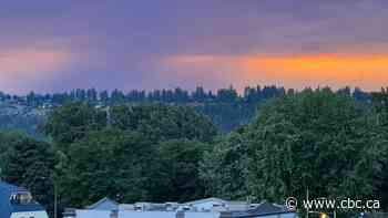 B.C. Wildfire Service warns of lightning-induced wildfires amid dry weather across province