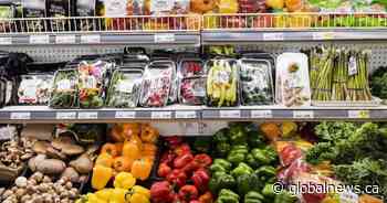 Southern Alberta groups call federal grocery rebate ‘short-term fix’