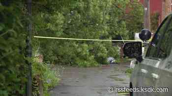 Woman killed by fallen tree in Saturday storm identified