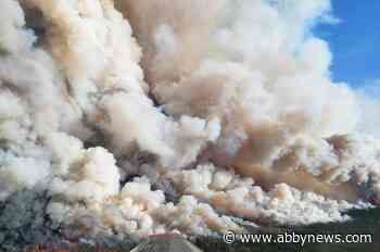 Crews from U.S., Mexico headed to northern B.C. to help fight wildfires