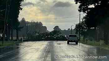 Downed power lines cause Route 460 to be closed for 15+ hours