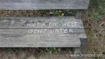 Studie zu nachhaltigem Handeln: Diese sechs Nachhaltigkeits-Typen gibt es in Deutschland