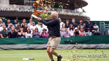 'Just an ordinary grandmother': Who are the Just Stop Oil protesters that disrupted Wimbeldon?