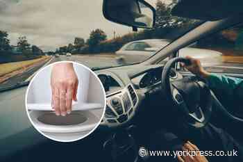 Having a wee before getting in a car could save your life