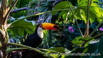 Food and beverage firms failing to act on deforestation, CDP finds