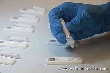 Hawaii’s COVID-19 cases ‘pretty steady’