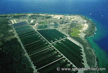 Cyanotech loses $1.4M as viability questioned