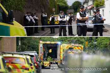 Pictures: Car crashes into Study Preparatory School in Wimbledon