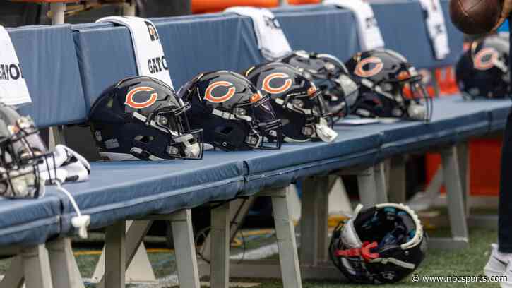Bears stadium critic launches recall effort for Arlington Heights politicians