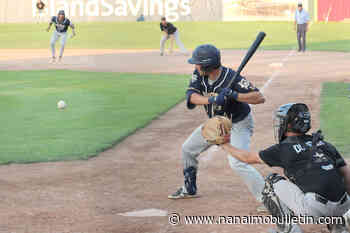 NightOwls hit season’s halfway point as one of league’s hottest teams