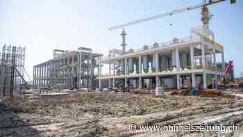 Rigoros planen und Standards setzen