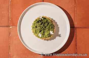 Tenrdril vegan restaurants opens in Mayfair with soft launch offer