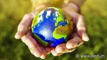 «Grünes Gold»: Warum CO2-Zertifikate als Investment langfristig Chancen bieten